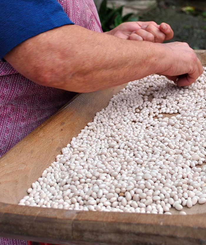 Perle della Tuscia