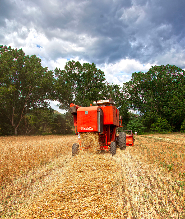 Azienda Agricola Monchini